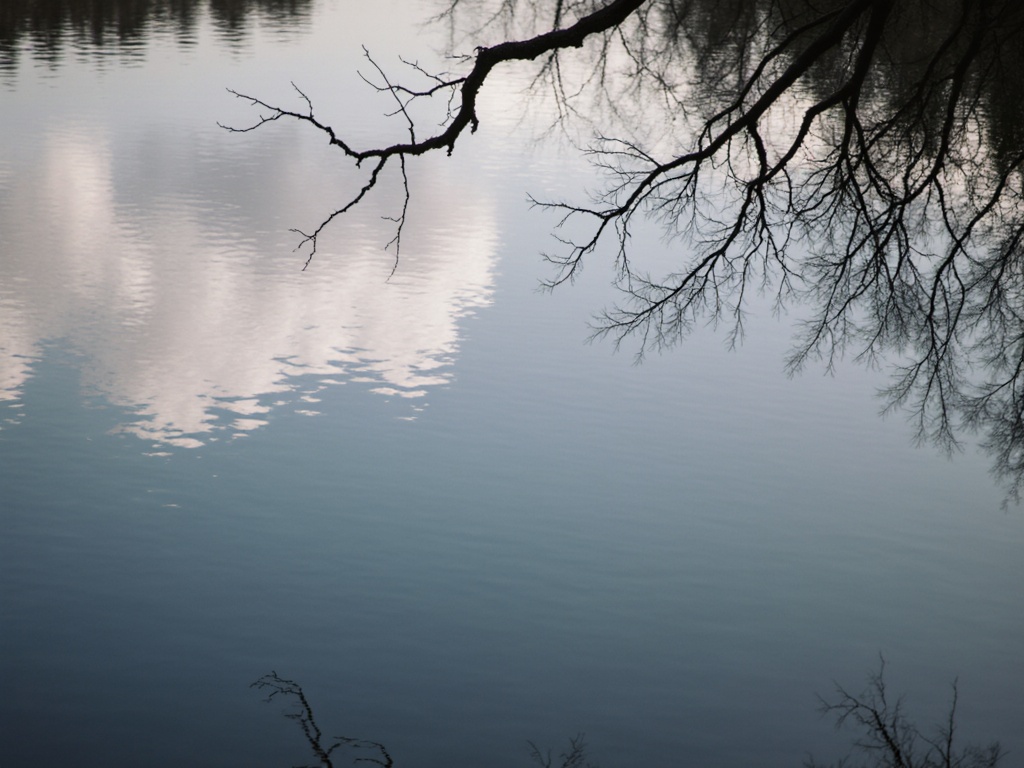 Still lake surface with perfect reflection of sky and single branch, captured at exact moment of calm